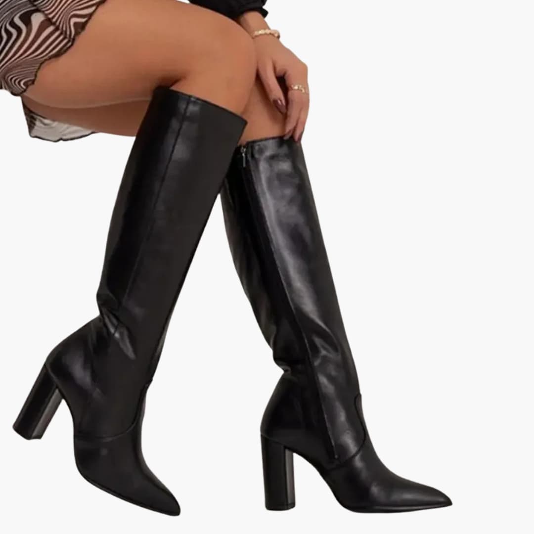 Hohe Damenstiefel mit spitzer Spitze und Blockabsatz