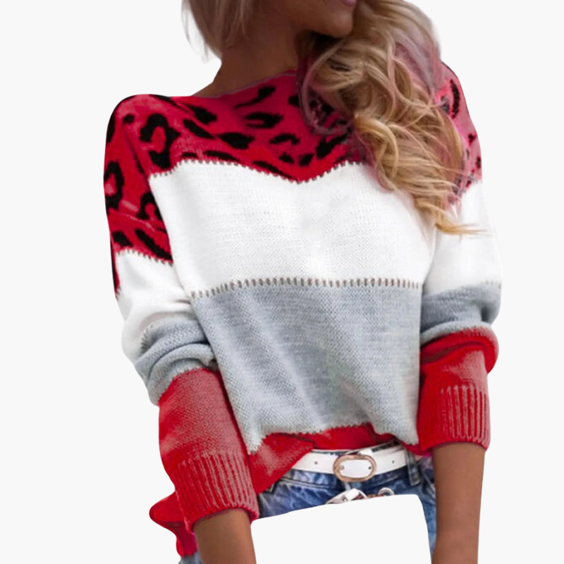 Pull en maille pour femme à blocs de couleur et motif léopard