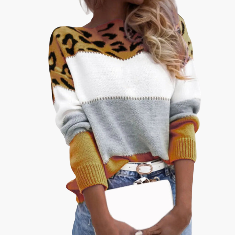 Pull en maille pour femme à blocs de couleur et motif léopard